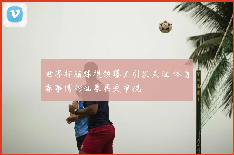 世界杯赌球视频曝光引发关注 体育赛事博彩乱象再受审视