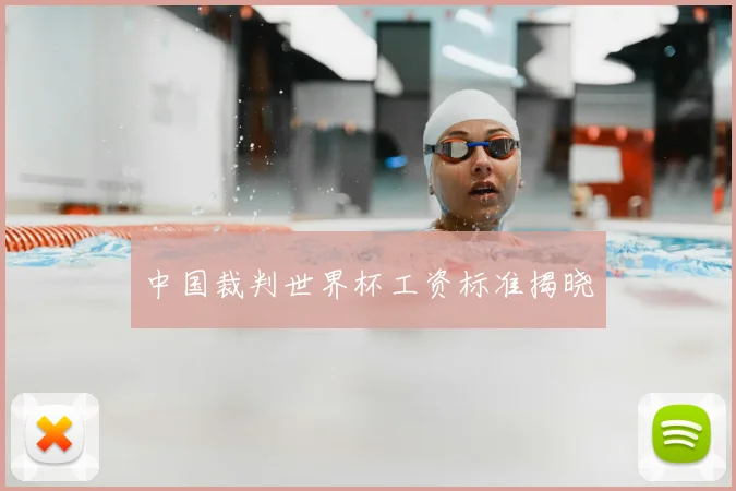 中国裁判世界杯工资标准揭晓