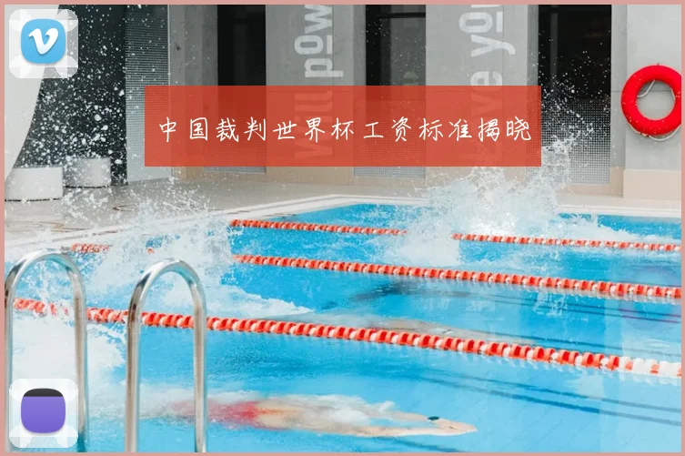 中国裁判世界杯工资标准揭晓