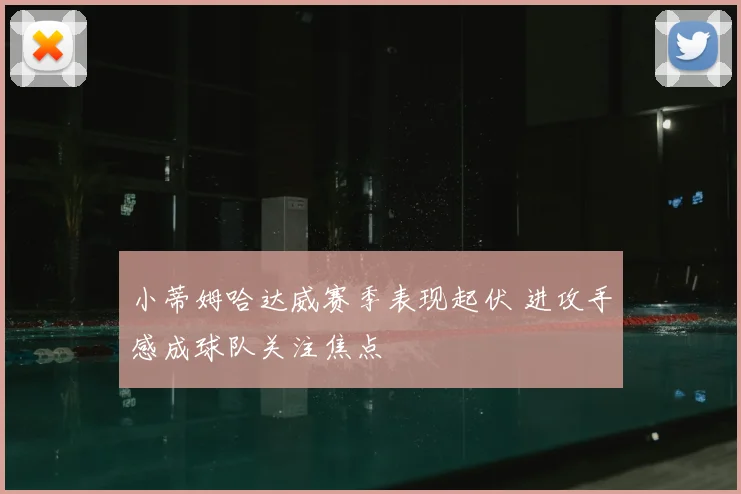 小蒂姆哈达威赛季表现起伏 进攻手感成球队关注焦点