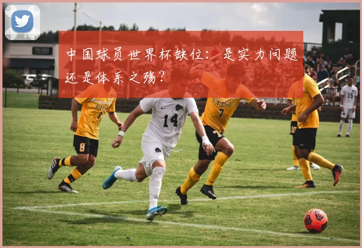 中国球员世界杯缺位:是实力问题还是体系之殇?