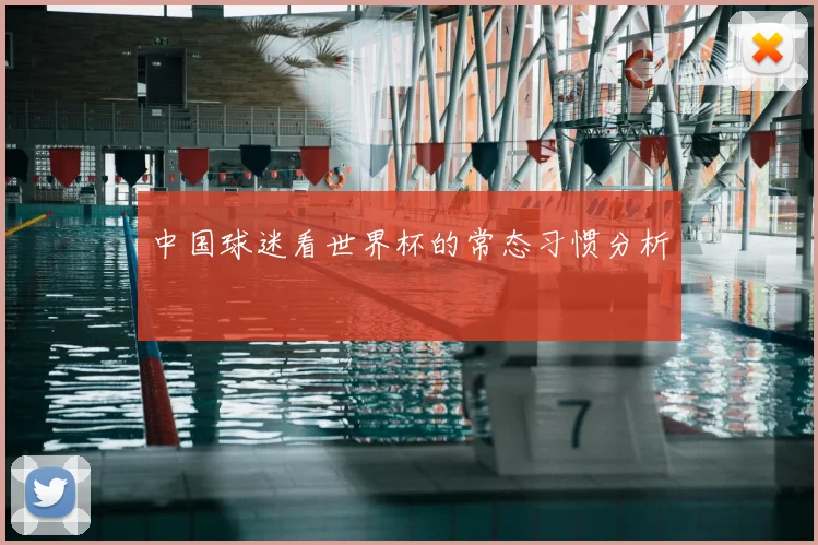 中国球迷看世界杯的常态习惯分析