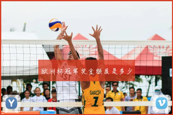 欧洲杯冠军奖金额度是多少