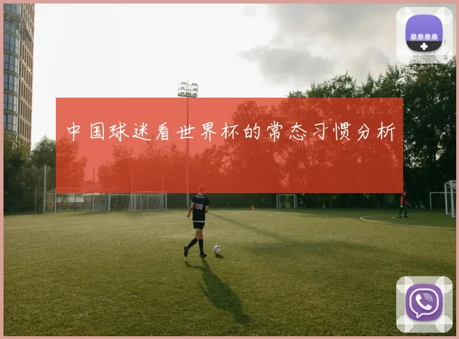 中国球迷看世界杯的常态习惯分析