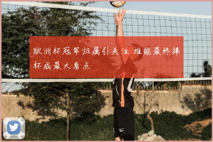 欧洲杯冠军归属引关注 谁能最终捧杯成最大看点