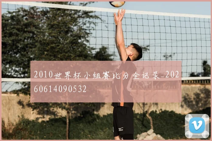 2010世界杯小组赛比分全记录_20260614090532