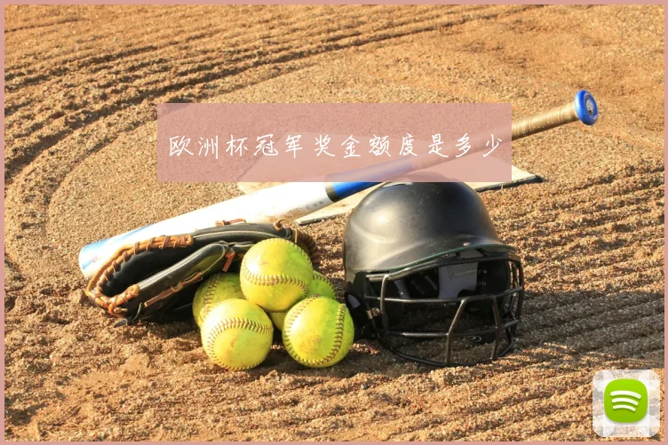 欧洲杯冠军奖金额度是多少