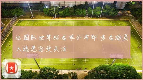 法国队世界杯名单公布即 多名球员入选悬念受关注