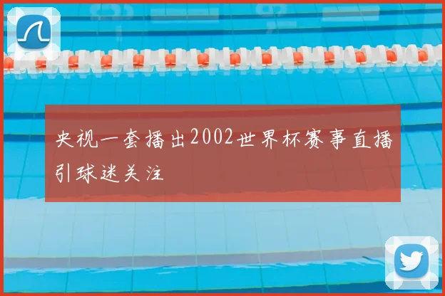 央视一套播出2002世界杯赛事直播引球迷关注
