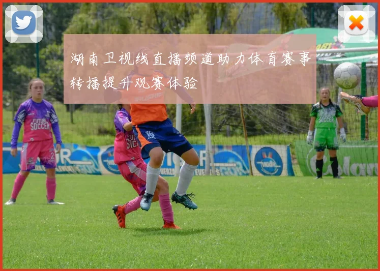 湖南卫视线直播频道助力体育赛事转播提升观赛体验