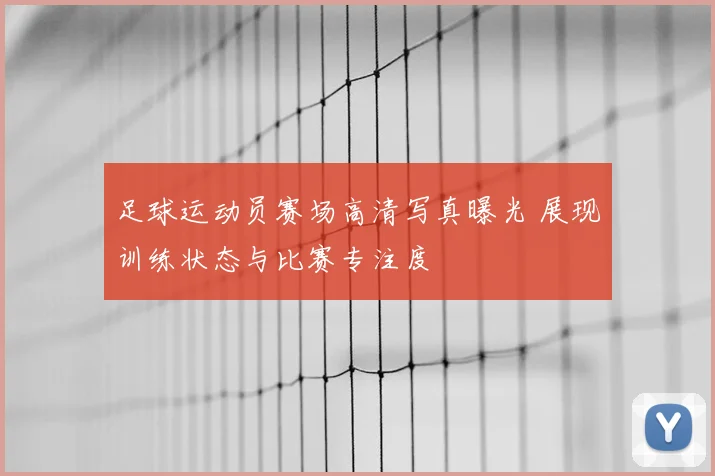 足球运动员赛场高清写真曝光 展现训练状态与比赛专注度