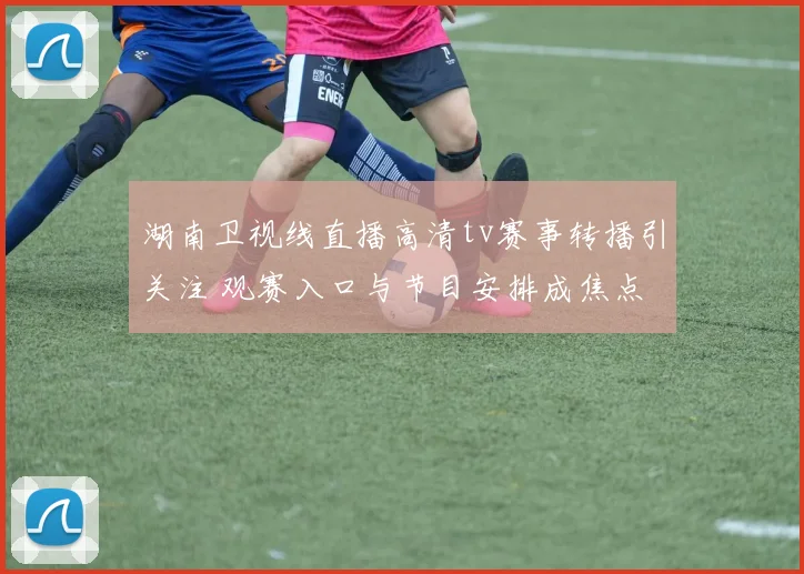 湖南卫视线直播高清tv赛事转播引关注 观赛入口与节目安排成焦点