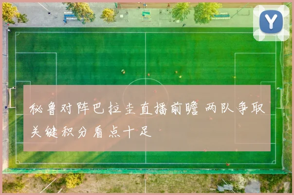 秘鲁对阵巴拉圭直播前瞻 两队争取关键积分看点十足