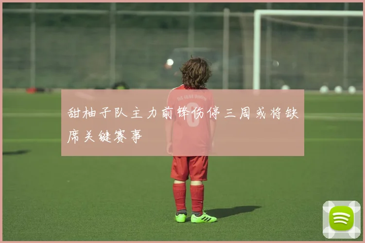 甜柚子队主力前锋伤停三周或将缺席关键赛事