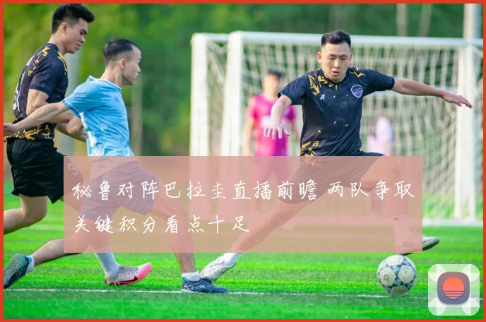 秘鲁对阵巴拉圭直播前瞻 两队争取关键积分看点十足