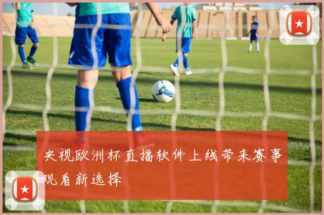 央视欧洲杯直播软件上线带来赛事观看新选择