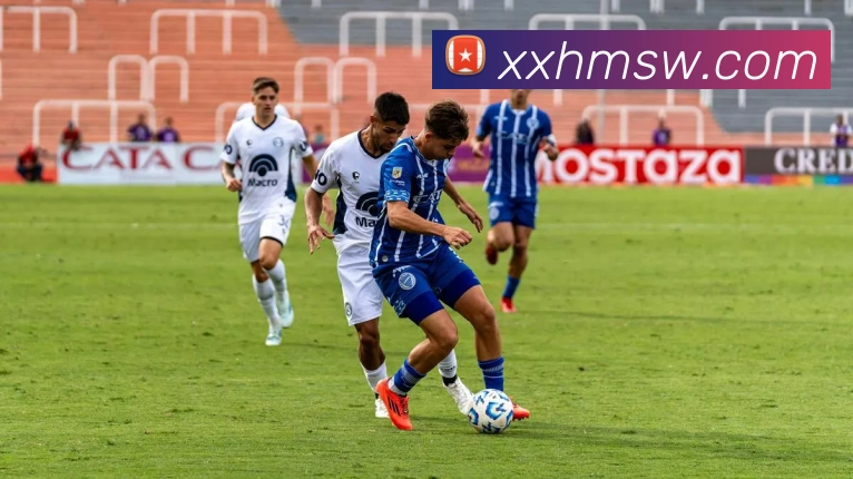 多媒体互动体验